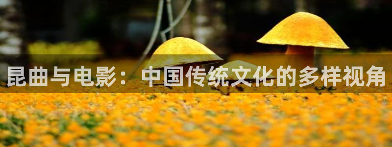 老湿影院在线看